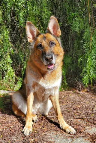 Molly