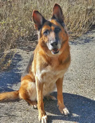 Molly