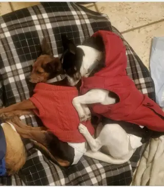 Peter and Micah