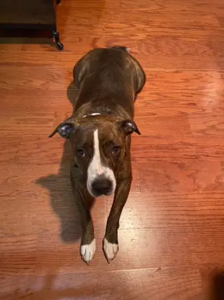 Luna B