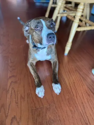 Luna B