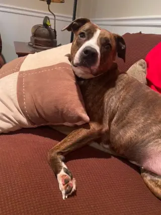 Luna B