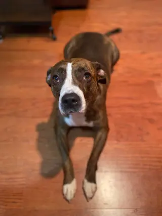 Luna B