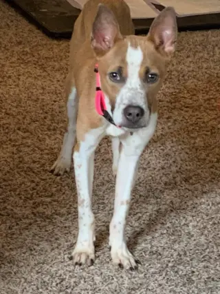 Charlie