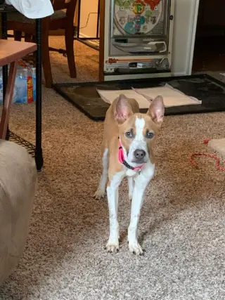 Charlie