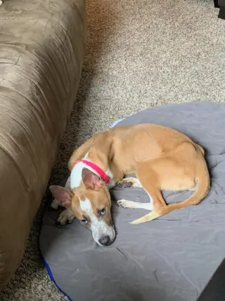 Charlie