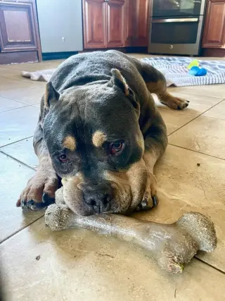 Brownie