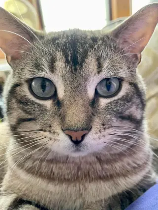 Prince
