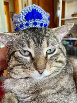Prince