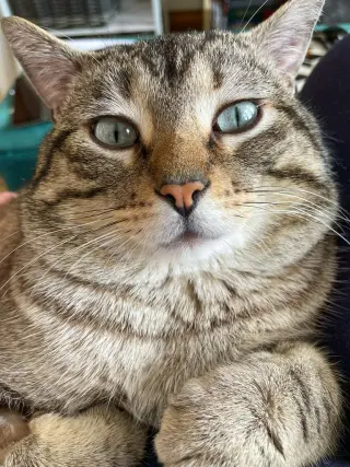 Prince