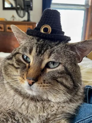 Prince