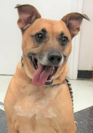 Axl