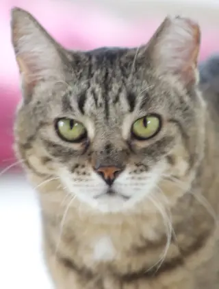 Katie