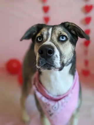 Reese