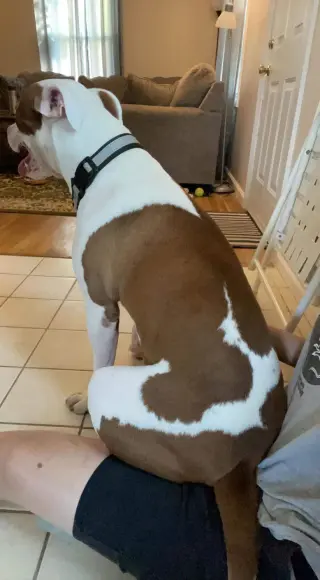 Samson