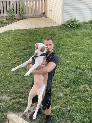 Samson