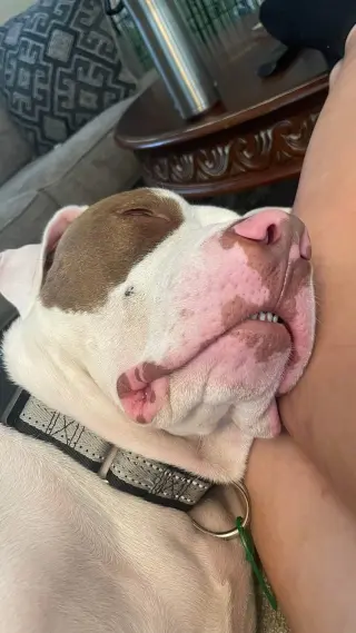 Samson