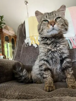 Walter the Wizard