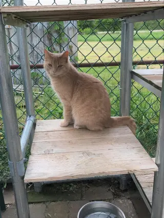 Butters