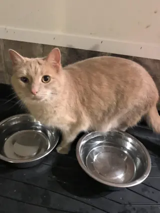 Butters