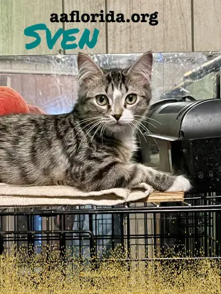 Sven