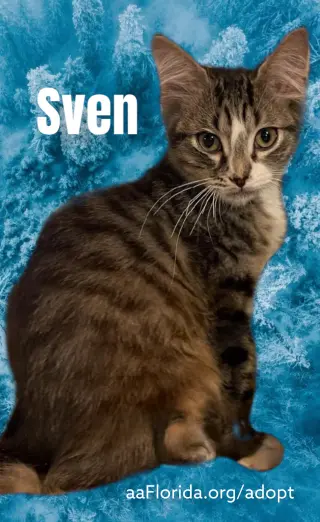 Sven