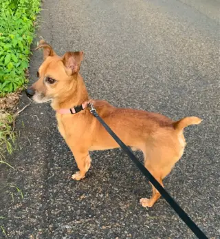 Jack