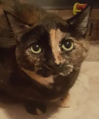 Delilah Bard