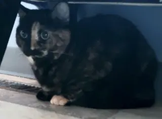 Delilah Bard
