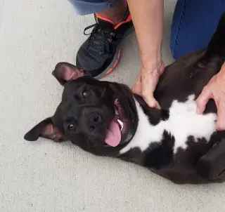 Benson