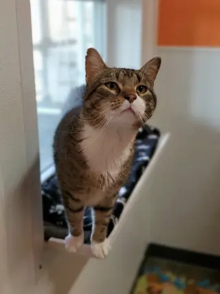 Frank