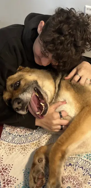 Scout