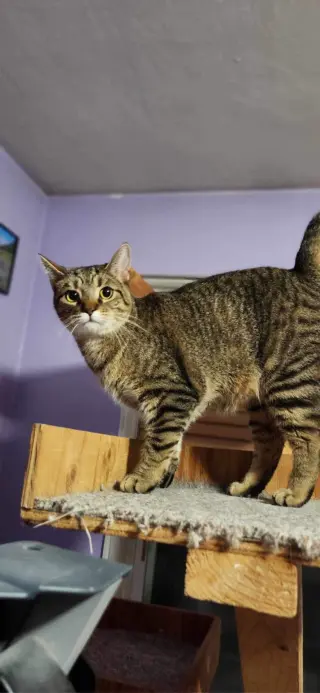 Lilly - AD