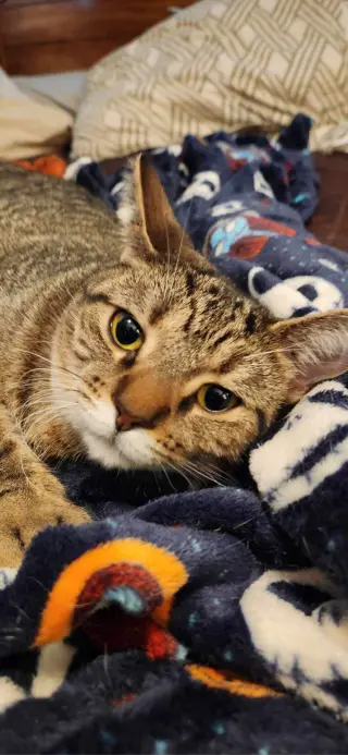 Lilly - AD