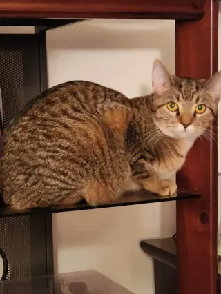 Lilly - AD