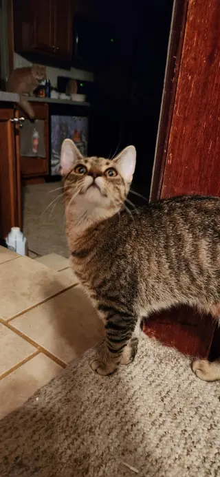 Lilly - AD