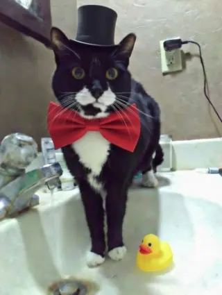 Ralphie - SPONSORED!
