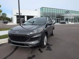 Ford Escape 2020 AWD SE 4dr SUV