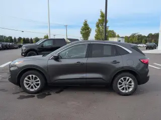 Ford Escape 2020 AWD SE 4dr SUV