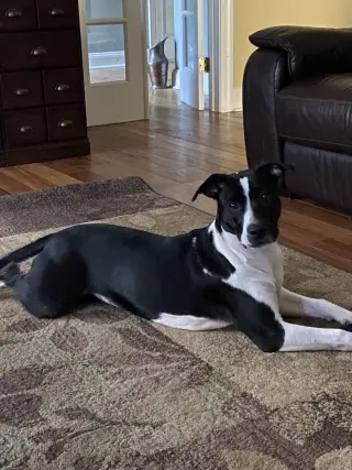 Julie