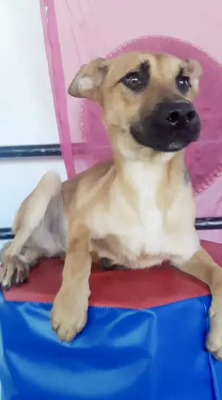 Bianca