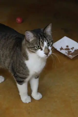 Billy