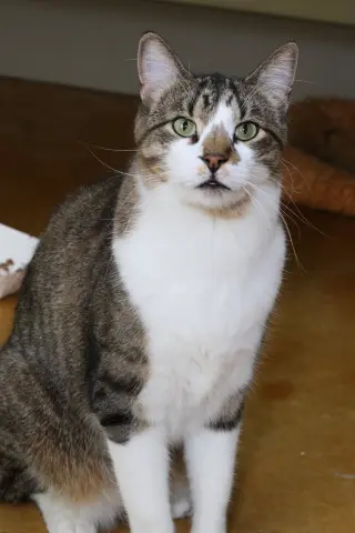Billy