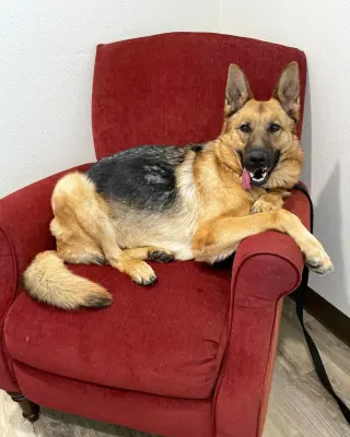 Isla