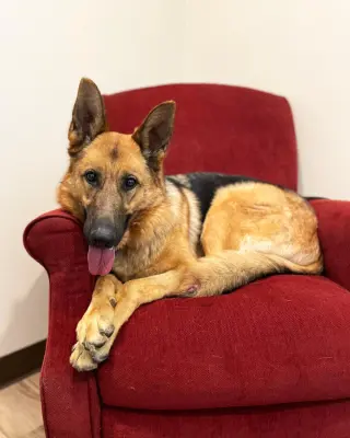 Isla