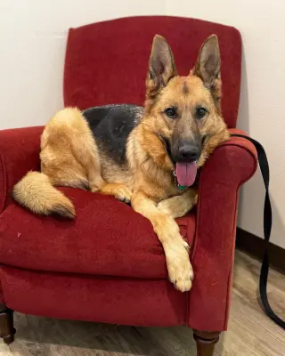 Isla