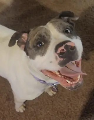 Maui