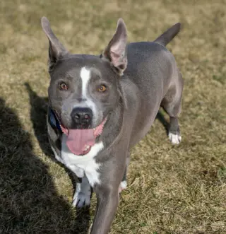 Rowen (long-term resident/sponsored fee)