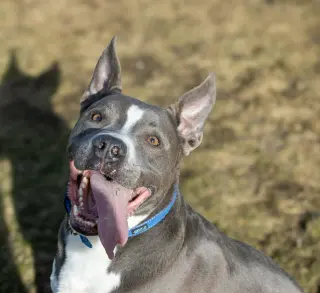 Rowen (long-term resident/sponsored fee)