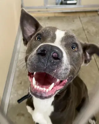Rowen (long-term resident/sponsored fee)